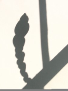 RTEmagicP_Picture_002_01