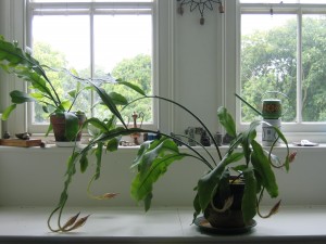 RTEmagicP_Picture_007_01