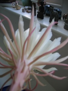 RTEmagicP_Picture_016